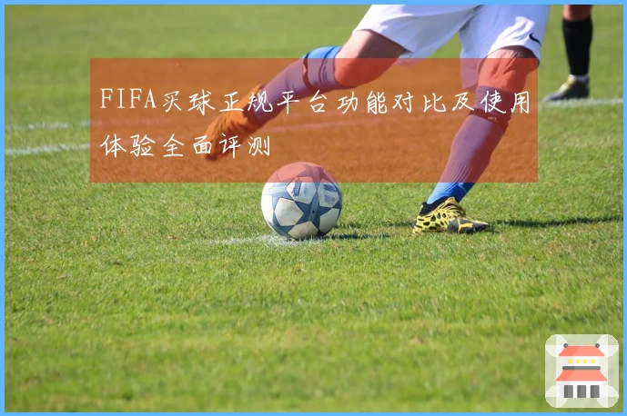 FIFA买球正规平台功能对比及使用体验全面评测