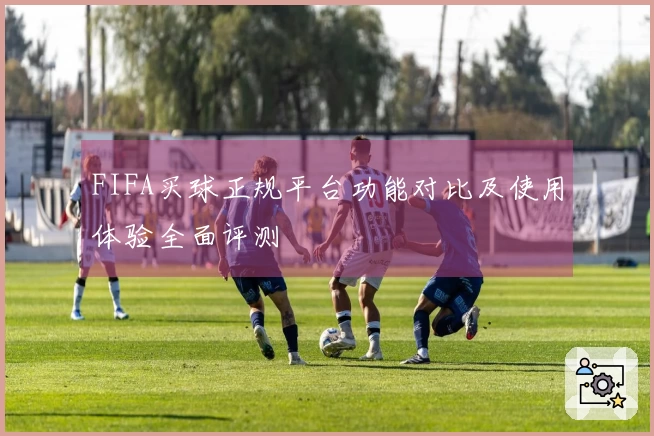 FIFA买球正规平台功能对比及使用体验全面评测
