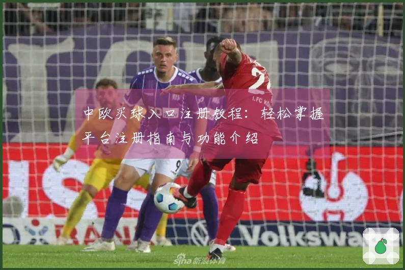 中欧买球入口注册教程：轻松掌握平台注册指南与功能介绍