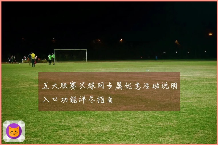 五大联赛买球网专属优惠活动说明入口功能详尽指南